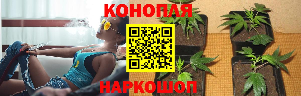 Шишки марихуана ГИДРОПОН  Вход с VPN  Канабис ГИДРОПОН  Петрозаводск  Бошки Шишки OG Kush  Каннабис VHQ 